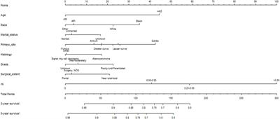 Prognostic Nomogram for Early Gastric Cancer After Surgery to Assist Decision-Making for Treatment With Adjuvant Chemotherapy